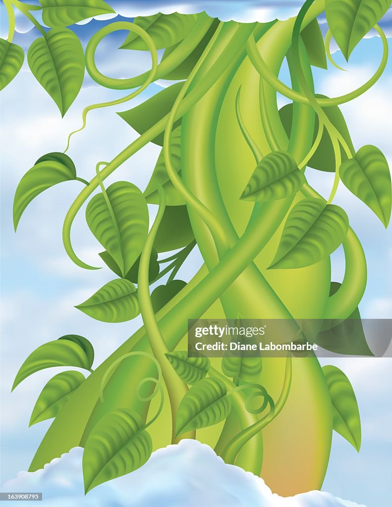 Beanstalk Growing Through The Clouds