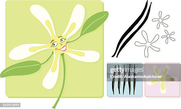 vanilla ! - vanilla flower stock illustrations