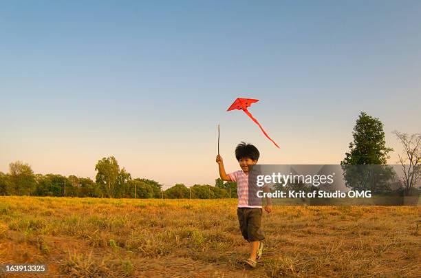 boy & kite in the rural field - thailand kite stock-fotos und bilder