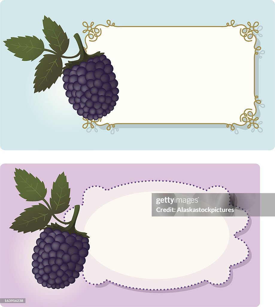 Fresh Blackberry-Labels.