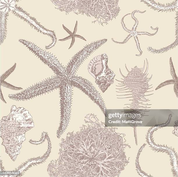 sea life wiederholen - sea urchin stock-grafiken, -clipart, -cartoons und -symbole