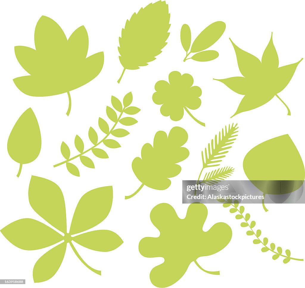 Green leaf shapes.
