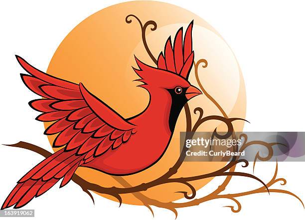 cardinal bird - cardinal flying stock illustrations