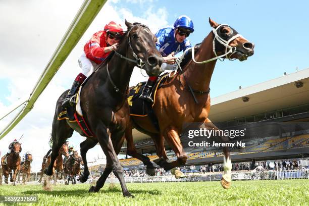 James Mcdonald riding Wineglass Bay wins Race 2 Bankstown Sports during "ClubsNSW West Metro San Domenico Stakes Day" - Sydney Racing at Rosehill...