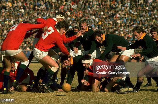 Fran Cotton and Davis Scramble of the British Lions charge down the lose ball during the Rugby Lions tour of South Africa, South Africa. \ Mandatory...