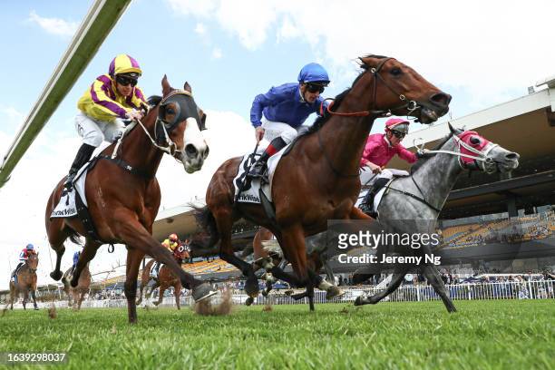 James Mcdonald riding Marquess wins Race 3 Mounties Group during "ClubsNSW West Metro San Domenico Stakes Day" - Sydney Racing at Rosehill Gardens on...