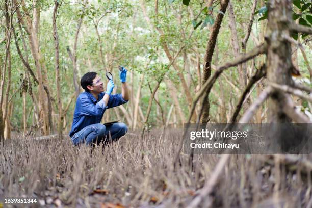 Ecologist Sampling 2,321 Climate Science Experiments Stock Photos, High-Res Pictures, and ...