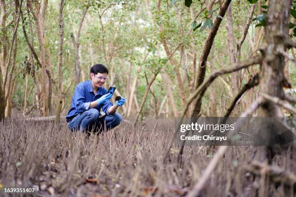 Ecologist Sampling 704 Scientist Sampling Water Stock Photos, High-Res Pictures, and ...