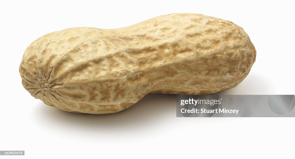 Peanuts in shell on white background