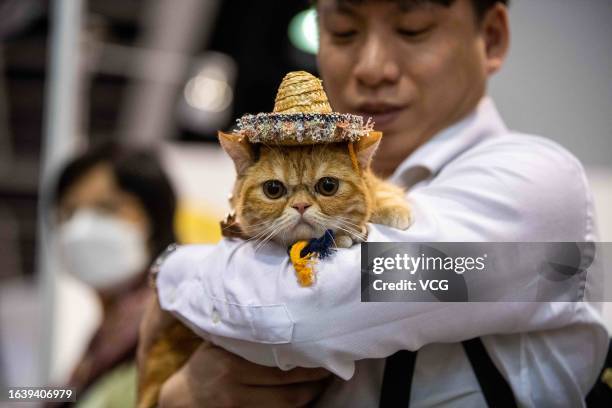 Man holds a cat during the Hong Kong Cat Expo 2023 at the Hong Kong Convention and Exhibition Centre on August 25, 2023 in Hong Kong, China.