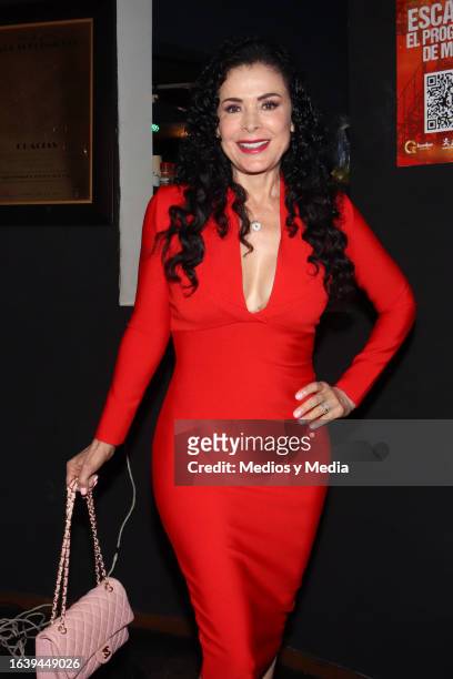 Lourdes Munguía poses for photos during a red carpet and premiere of Amor sin Barreras musical at Teatro Centenario Coyoacan on August 25, 2023 in...