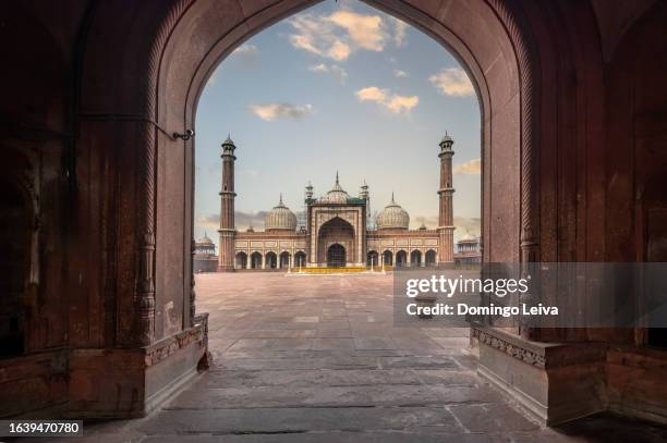 jama masjid, delhi - jama masjid delhi foto e immagini stock