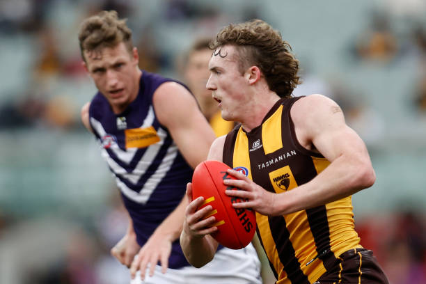 Josh Weddle of the Hawks ruduring the round 24 AFL match between Hawthorn Hawks and Fremantle Dockers at Melbourne Cricket Ground, on August 26 in...
