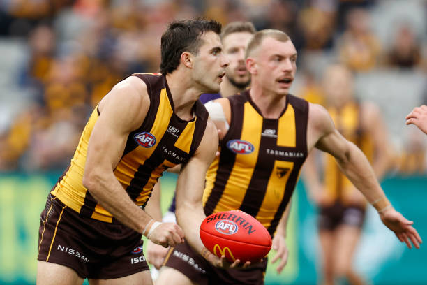 Finn Maginness of the Hawks handballs during the round 24 AFL match between Hawthorn Hawks and Fremantle Dockers at Melbourne Cricket Ground, on...