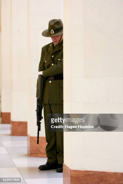 Soldier stands guard during a wreath-laying ceremony to acknowledge both Afghan and New Zealand losses in Afghanistan at the National War Memorial on...