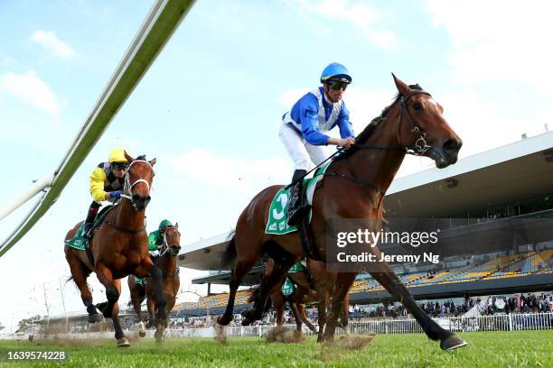 Rosehill Races Rosehill Racecourse Photos and Premium High Res Pictures - Getty Images