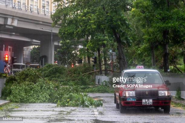 Taxi veers around fallen branches in Sai Wan Ho during the typhoon. Super Typhoon Saola battered Hong Kong, leaving behind many fallen trees, torn...