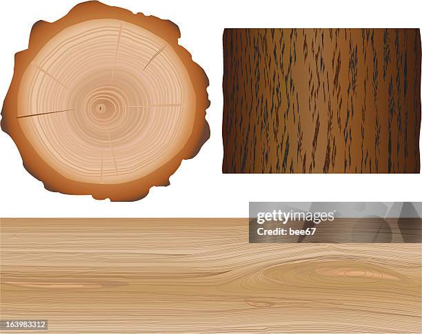 wooden elements - tree ring stock illustrations