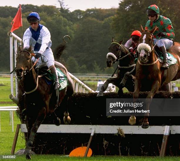 241 Dorans Stock Photos, High-Res Pictures, and Images - Getty Images