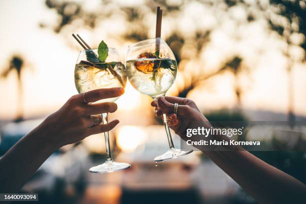 girlfriends clink cocktails during dinner. - happy hour stock pictures, royalty-free photos & images