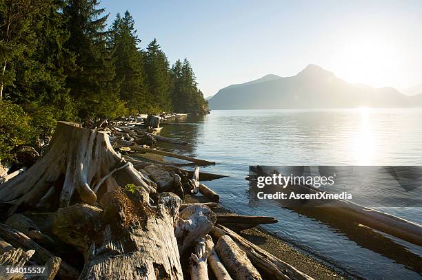 howe sound - inlet stock pictures, royalty-free photos & images