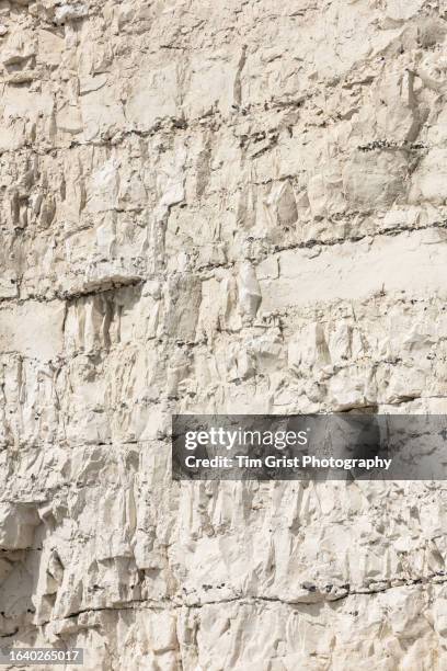 close up of beachy head chalk rock face - rock face stock pictures, royalty-free photos & images