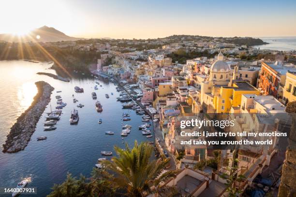 hiking ischia and procida isle, napoli. campania region, italy - bay horse stock pictures, royalty-free photos & images