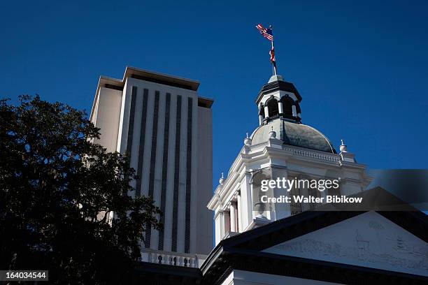 old and new state capitol - tallahassee stock pictures, royalty-free photos & images