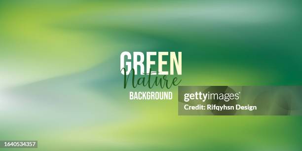 blurred green colours nature fluid background - greenery out of focus background stock illustrations