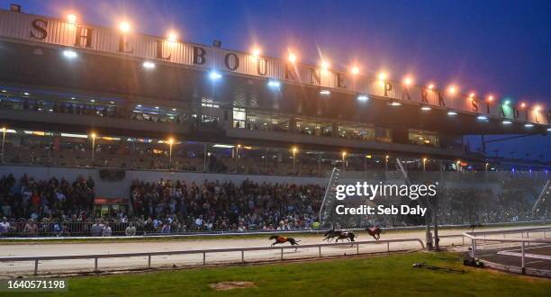 Dublin , Ireland - 2 September 2023; Ballymac Kate wins race five of the 2023 BoyleSports Irish Greyhound Derby Final meeting at Shelbourne Park in...