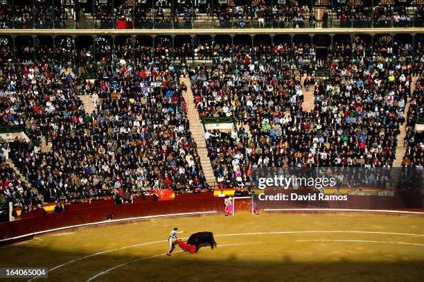 Bullfighter Enrique Ponce performs during a bullfight as part of the Las Fallas Festival on March 19, 2013 in Valencia, Spain. The Fallas festival,...