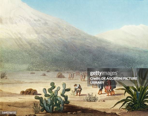 Tapia plain at the foot of Chimborazo volcano, Ecuador, engraving from Views of the cordilleras and monuments of the indigenous peoples of the...