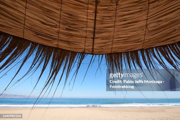 rustic umbrella on the beach - vina del mar foto e immagini stock