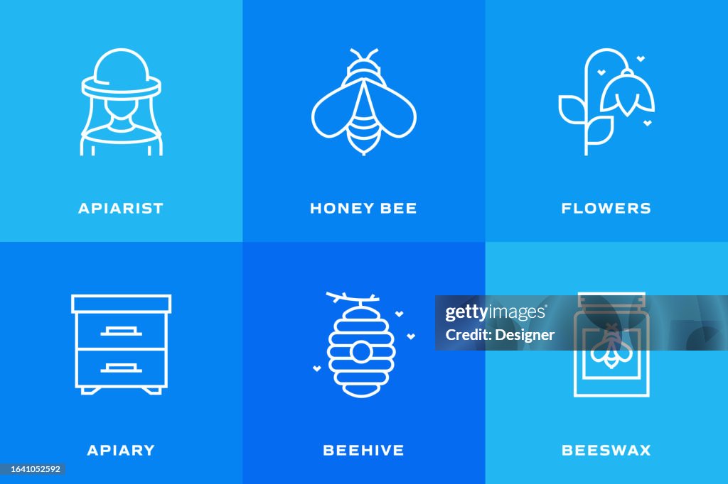 APIARY Related Vector Thin Line Icons. Outline Symbol Collection