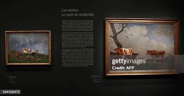 Visitor looks at the paintings, " vaches dans un pre au bord de l'eau" et "la prairie, d'apres Paulus Potter " on March 20, 2013 at the...