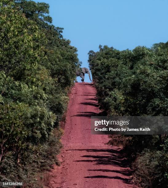 road block - limpopo province stock pictures, royalty-free photos & images