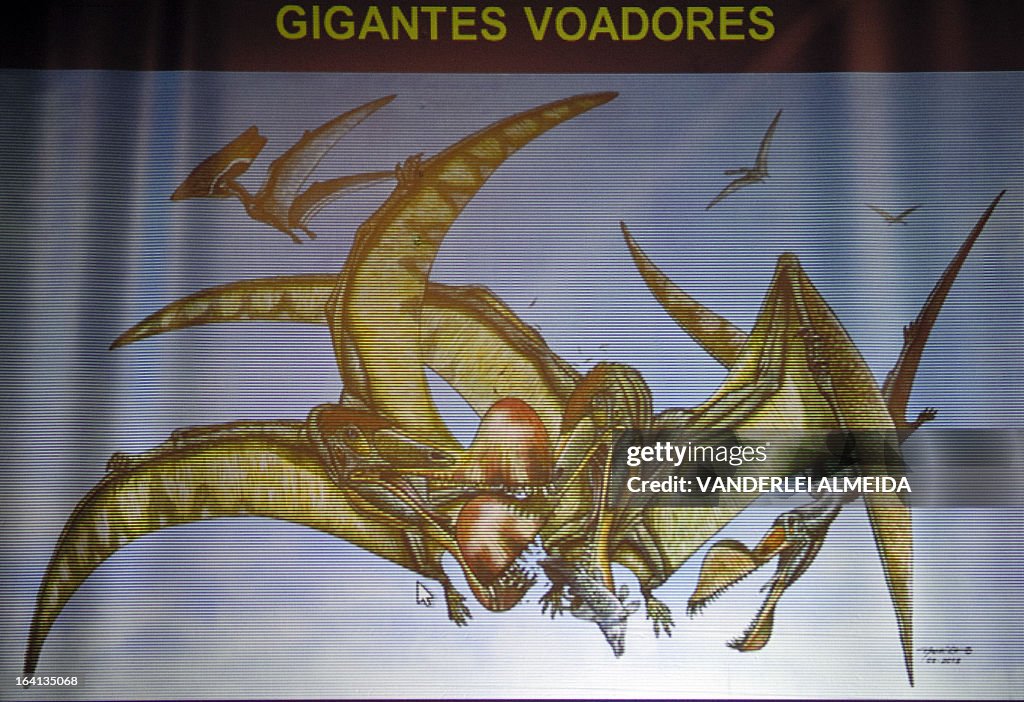 BRAZIL-PALEONTOLOGY-PTEROSAUR