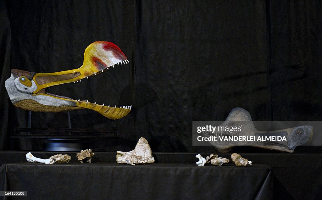 BRAZIL-PALEONTOLOGY-PTEROSAUR