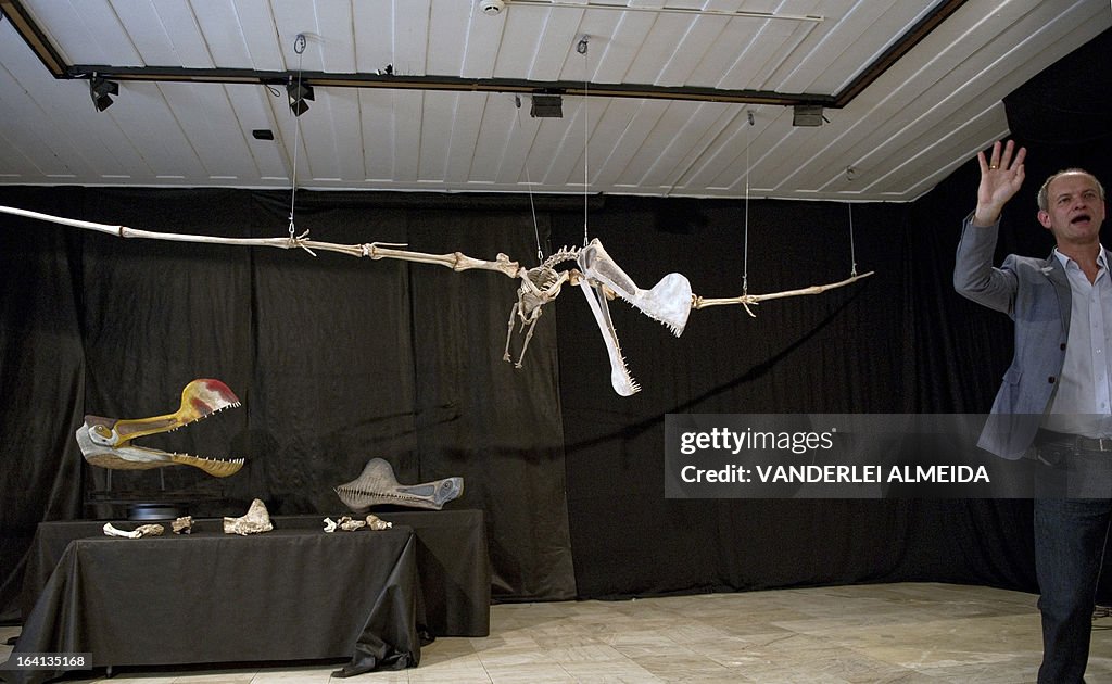 BRAZIL-PALEONTOLOGY-PTEROSAUR