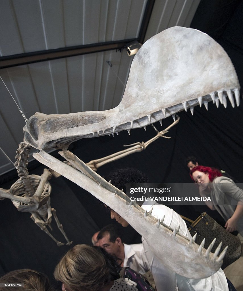 BRAZIL-PALEONTOLOGY-PTEROSAUR
