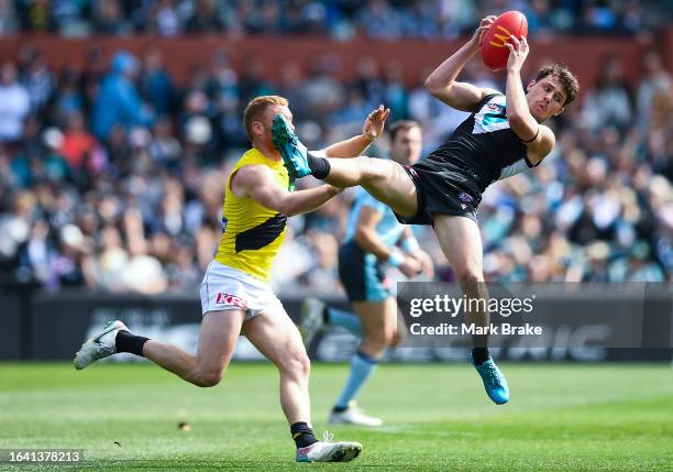 Jed McEntee of Port Adelaide marks in front of Nick Vlastuin of the Tigers during the round 24 AFL match between Port Adelaide Power and Richmond...