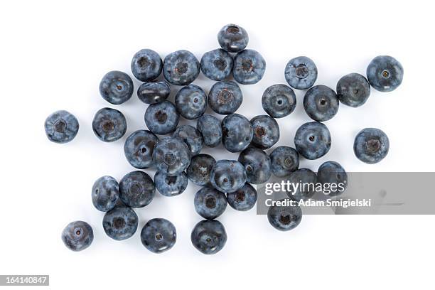 blaubeeren - amerikanische heidelbeere stock-fotos und bilder