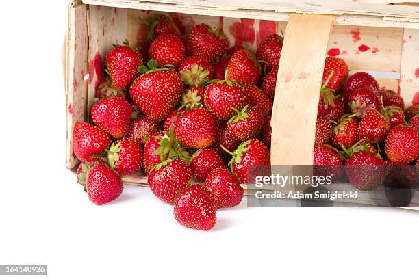 erdbeeren - grass pile white background stock-fotos und bilder