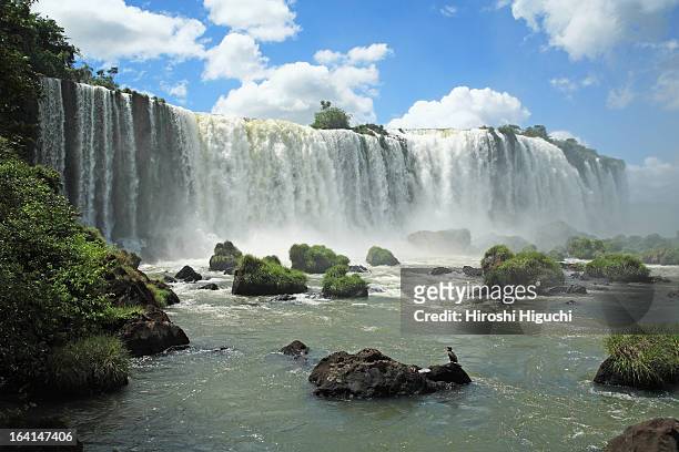 iguazu waterfalls - paraná stock pictures, royalty-free photos & images