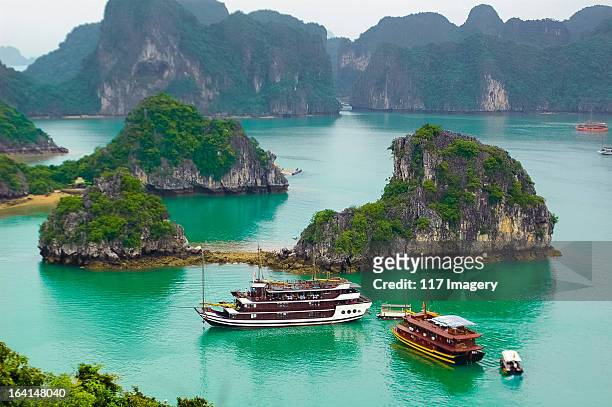 boats in ha long bay, quang ninh, vietnam - baia di ha long foto e immagini stock