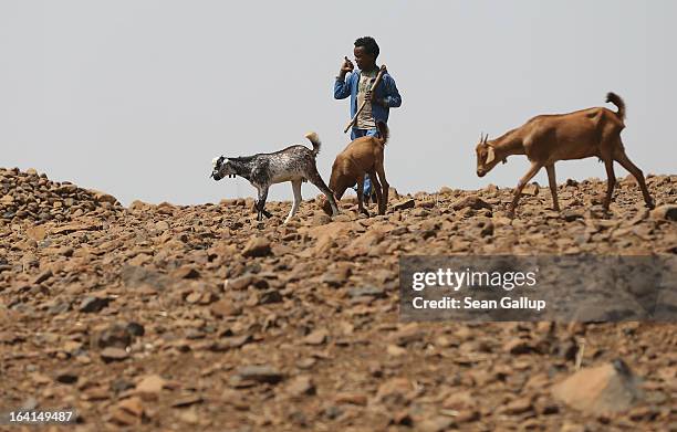Little boy oversees goats in the Lasta mountain range on March 19, 2013 near Lalibela, Ethiopia. Ethiopia, with an estimated 91 million inhabitants,...