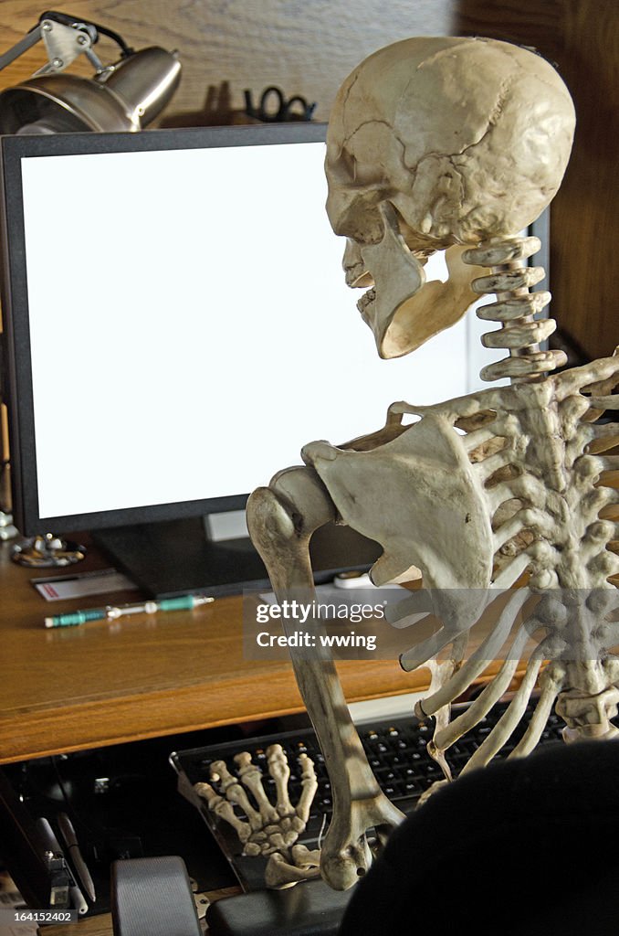 Skeleton on Computer