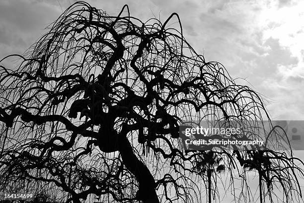 Unsettling Examples Unsettling Photos and Premium High Res Pictures - Getty Images