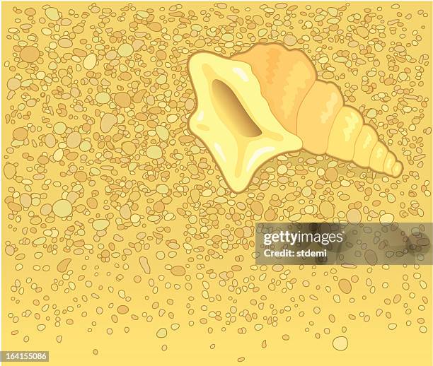 shell - sand shells stock illustrations
