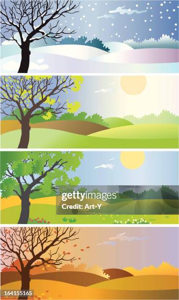 four seasons - jahreszeit stock-grafiken, -clipart, -cartoons und -symbole